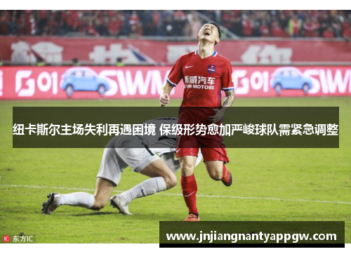 纽卡斯尔主场失利再遇困境 保级形势愈加严峻球队需紧急调整