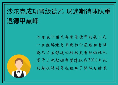 沙尔克成功晋级德乙 球迷期待球队重返德甲巅峰