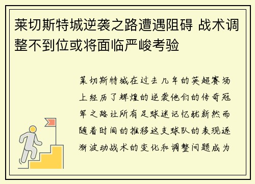 莱切斯特城逆袭之路遭遇阻碍 战术调整不到位或将面临严峻考验