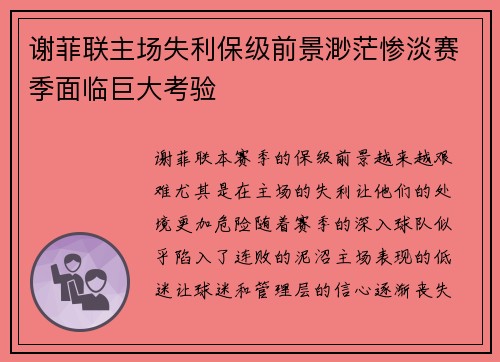 谢菲联主场失利保级前景渺茫惨淡赛季面临巨大考验