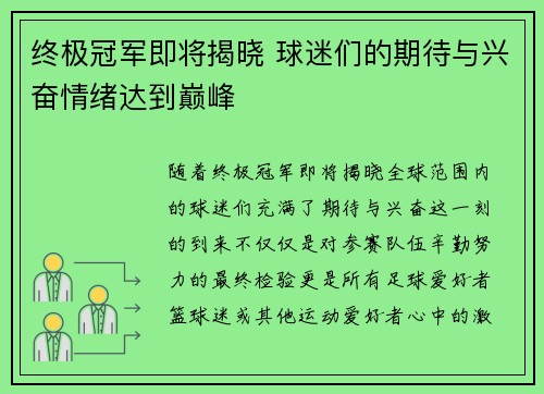 终极冠军即将揭晓 球迷们的期待与兴奋情绪达到巅峰